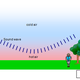 Illustration for article titled How an ice storm uproots a tree